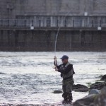 An evening cast below the Dam, River Tummel