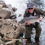 Tummel silver