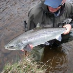 A good May fish from the Tummel taken on a small fly.