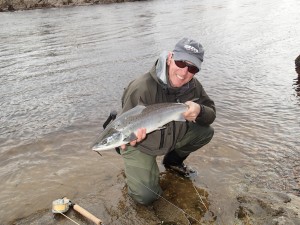 Tummel Springer on a Park Shrimp Tube